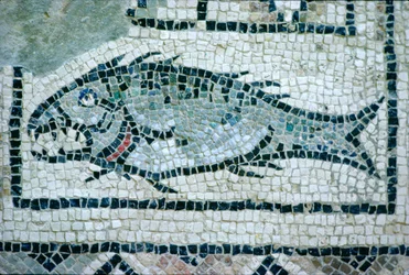Fisk på et romersk gulv (mosaikk)